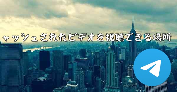 Paper Plane のキャッシュされたビデオを視聴できる場所