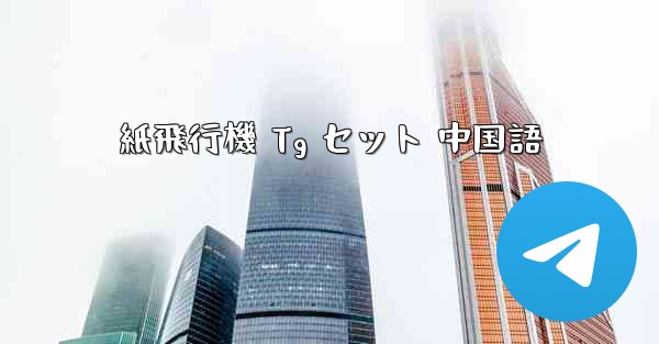 紙飛行機 Tg セット 中国語