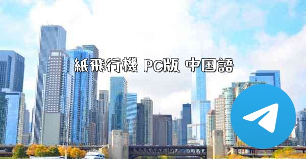 紙飛行機 PC版 中国語