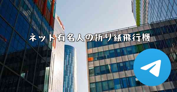 ネット有名人の折り紙飛行機