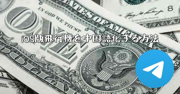 iOS版飛行機を中国語化する方法