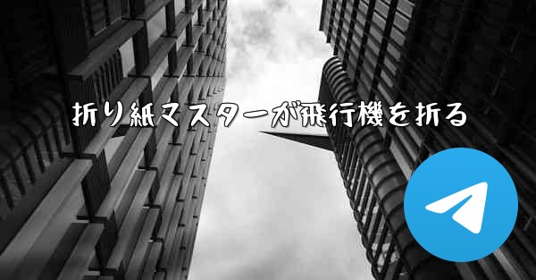 折り紙マスターが飛行機を折る