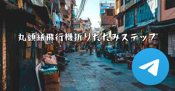 丸頭紙飛行機折りたたみステップ