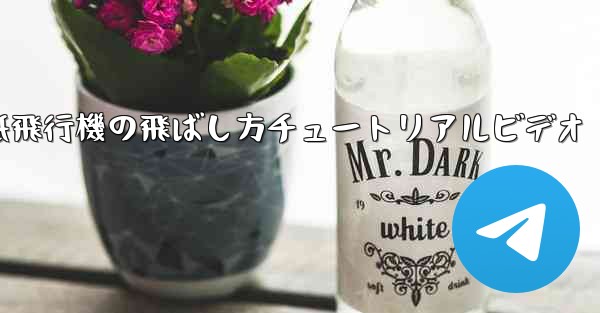 紙飛行機の飛ばし方チュートリアルビデオ