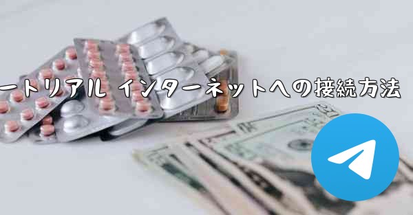 紙飛行機搭乗チュートリアル インターネットへの接続方法