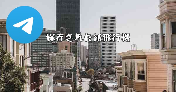 保存された紙飛行機