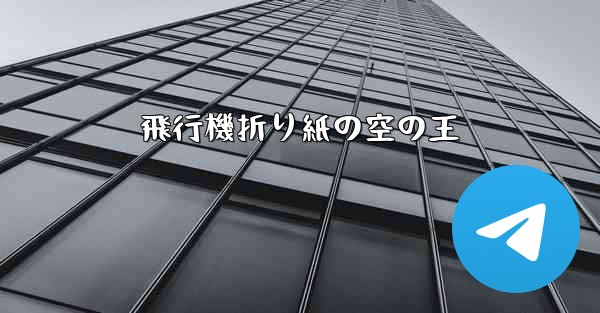 飛行機折り紙の空の王