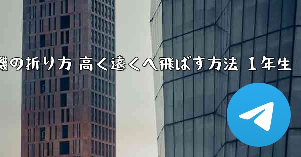 紙飛行機の折り方 高く遠くへ飛ばす方法 １年生