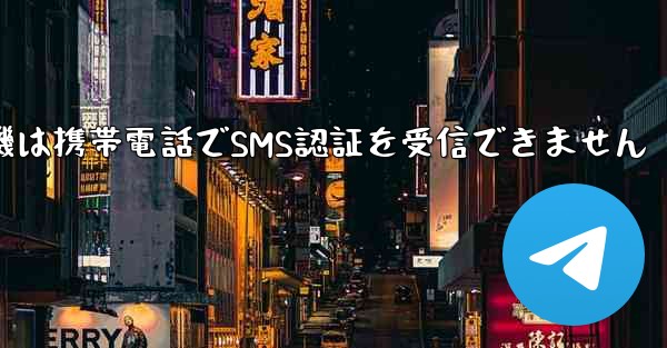 紙飛行機は携帯電話でSMS認証を受信できません