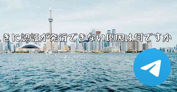 飛行機にログインするときに認証が発行できない原因は何ですか