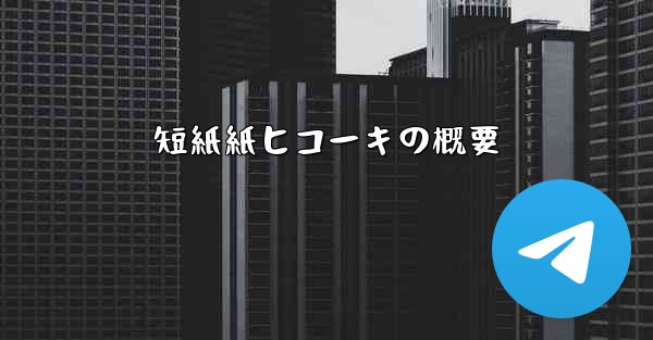 短紙紙ヒコーキの概要