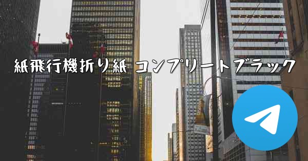 紙飛行機折り紙 コンプリートブラック