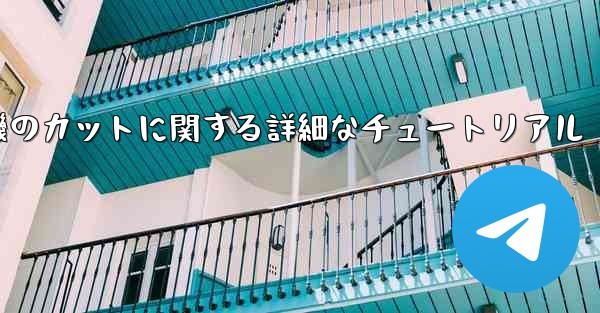 ティッシュペーパー飛行機のカットに関する詳細なチュートリアル