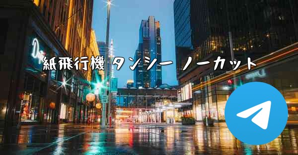 紙飛行機 タンシー ノーカット