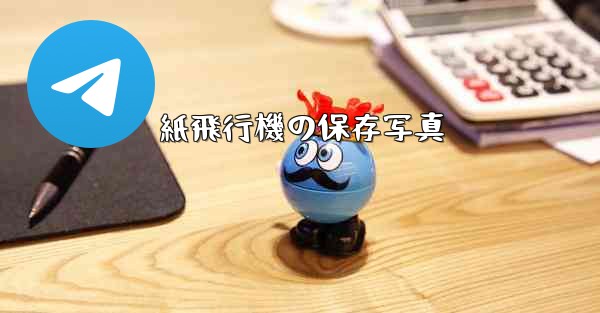 紙飛行機の保存写真
