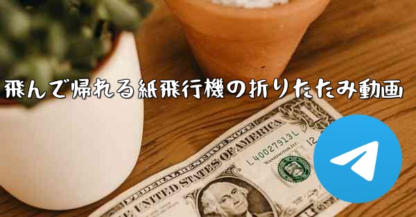 飛んで帰れる紙飛行機の折りたたみ動画