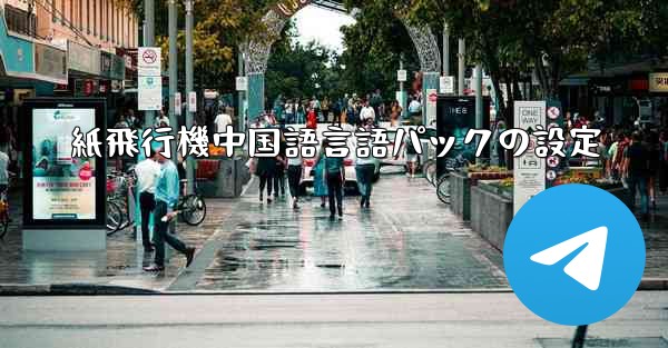 紙飛行機中国語言語パックの設定