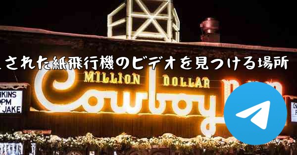 キャッシュされた紙飛行機のビデオを見つける場所