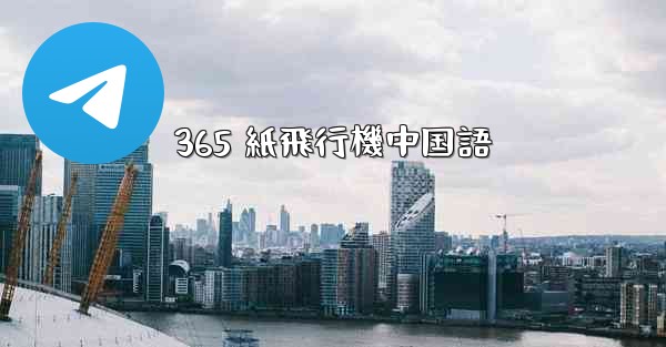 365 紙飛行機中国語