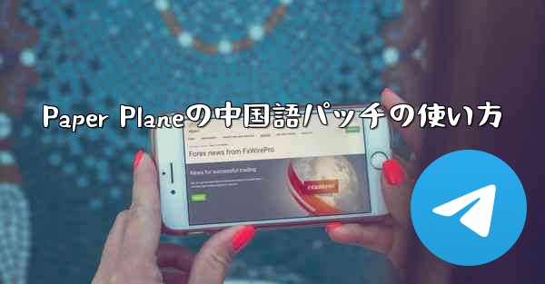 Paper Planeの中国語パッチの使い方