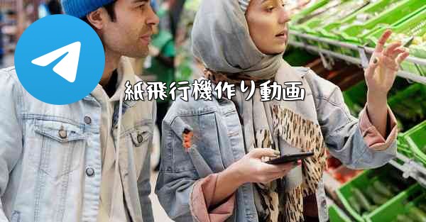 紙飛行機作り動画