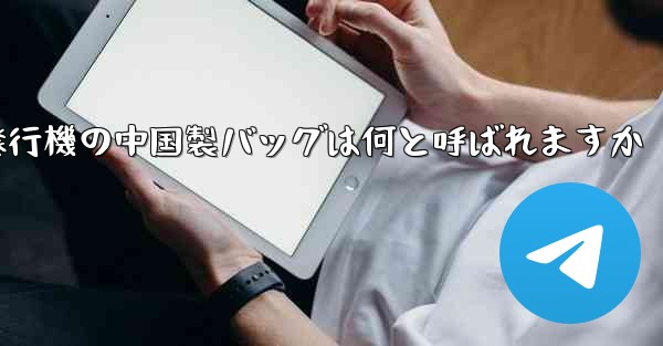 紙飛行機の中国製バッグは何と呼ばれますか