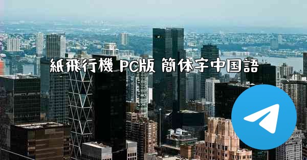 紙飛行機 PC版 簡体字中国語