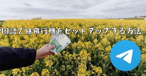 中国語で紙飛行機をセットアップする方法