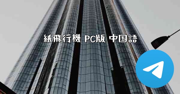 紙飛行機 PC版 中国語