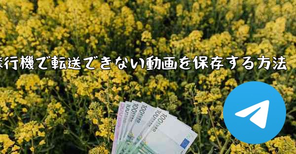 紙飛行機で転送できない動画を保存する方法