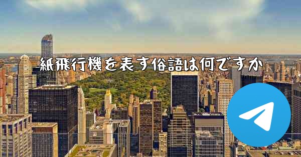 紙飛行機を表す俗語は何ですか