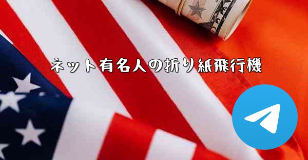 ネット有名人の折り紙飛行機
