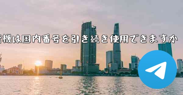 紙飛行機は国内番号を引き続き使用できますか