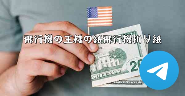 飛行機の王様の紙飛行機折り紙