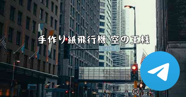 手作り紙飛行機 空の王様