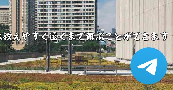 紙飛行機は教えやすく遠くまで飛ぶことができます