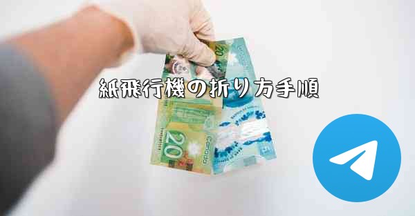 紙飛行機の折り方手順