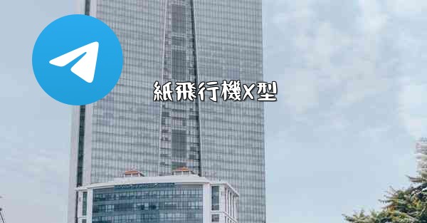 紙飛行機X型