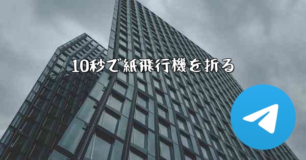 10秒で紙飛行機を折る