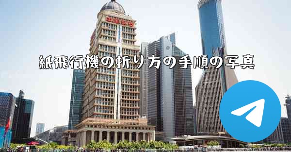 紙飛行機の折り方の手順の写真