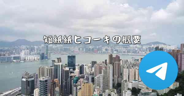 短紙紙ヒコーキの概要