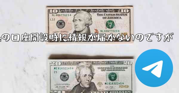 Paper Planeの口座開設時に情報が届かないのですが