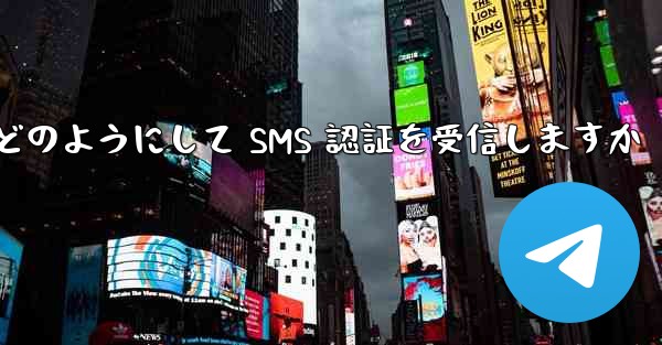 Paper Plane はどのようにして SMS 認証を受信しますか