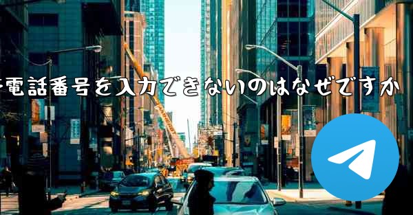 Paper Plane の携帯電話番号を入力できないのはなぜですか