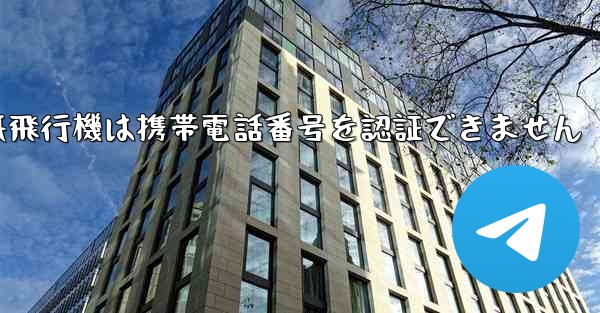 紙飛行機は携帯電話番号を認証できません