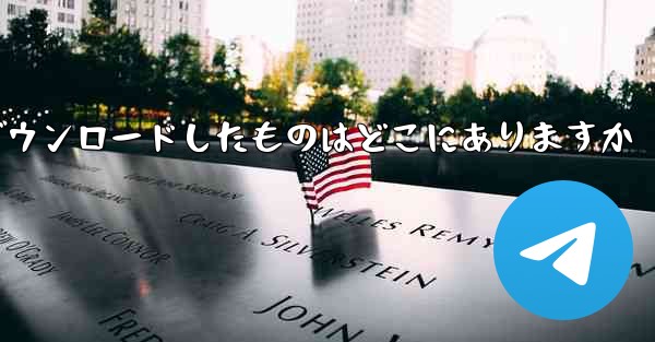tg がダウンロードしたものはどこにありますか