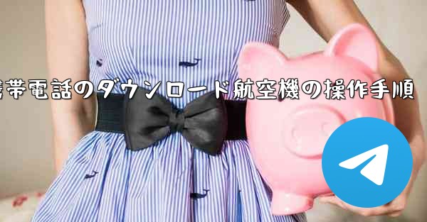 Apple 携帯電話のダウンロード航空機の操作手順