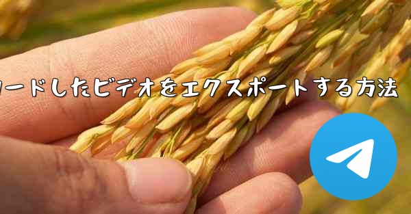 iPadからダウンロードしたビデオをエクスポートする方法